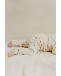 lunilou newborn tights olives