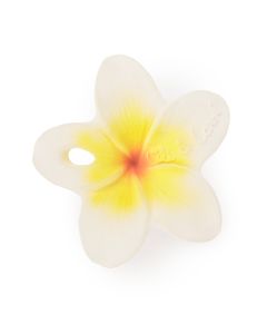 Oli&Carol mini žvakalica – cvijet Hawaii